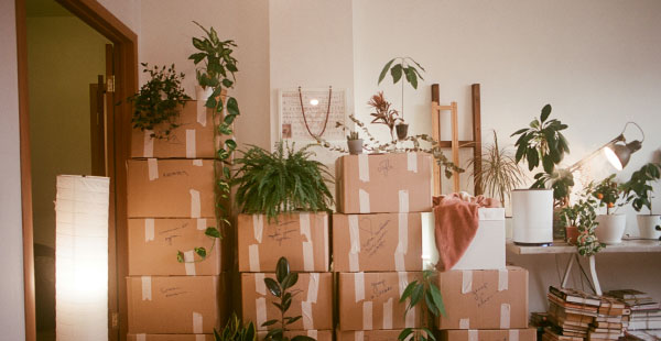 Cajas de mudanza preparadas para trasladarlas a un nuevo hogar en Valencia