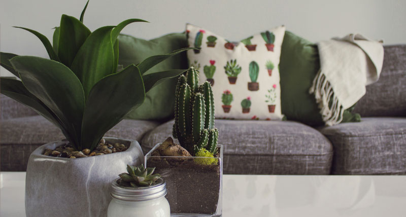 Testimonio de Alejandra Fernández por la rápida compra de casa asistida por Diana e Irene.