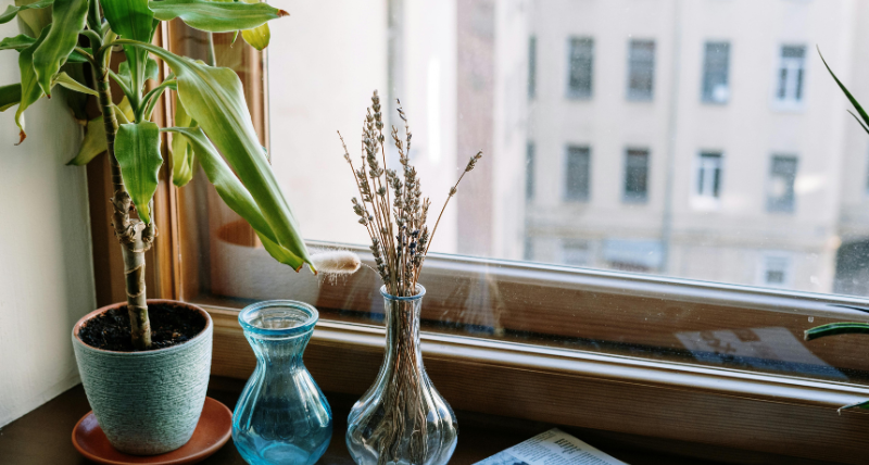 Opinión de Vicente Aquino sobre compra y venta de Inmobiliaria Ireka. 